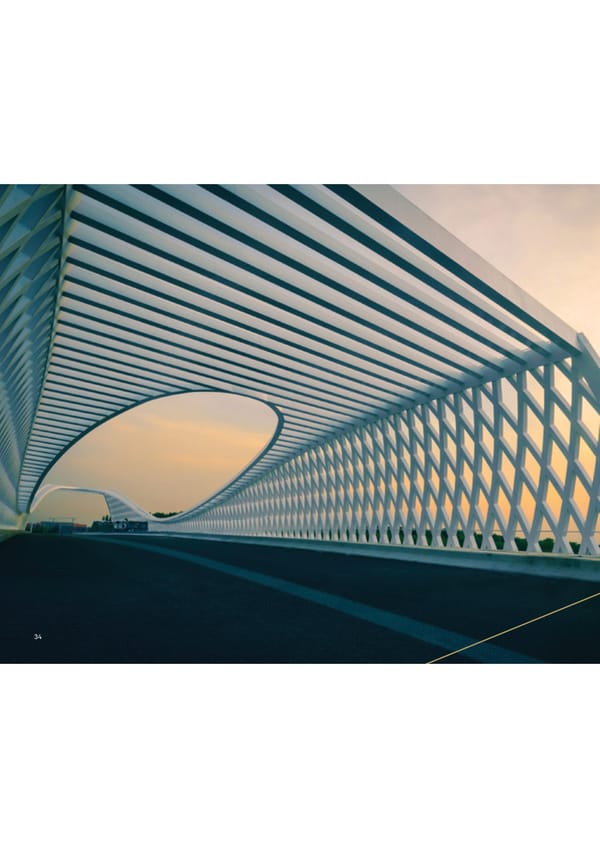 Global Trends in Investor Relations - Page 36